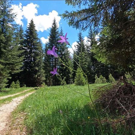 Wood Inn Žabljak エクステリア 写真