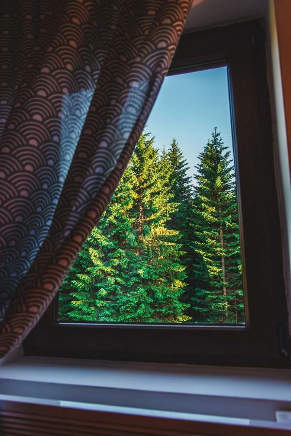 Wood Inn Žabljak エクステリア 写真